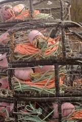 Detail of crab trap corner with rope and fishing netting  © Susan