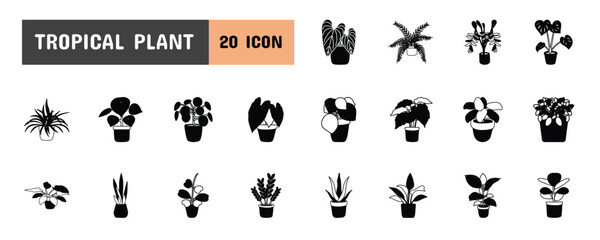 20 Tropical Plant Glyph Icon Illustration Set  © ahmadwil