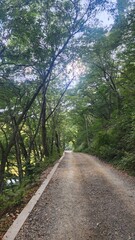 맑은 하늘과 구름, 산과 강을 따라 걷는 데크 둘레길의 여름 풍경