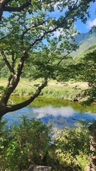 Obraz premium 맑은 하늘과 구름, 산과 강을 따라 걷는 데크 둘레길의 여름 풍경