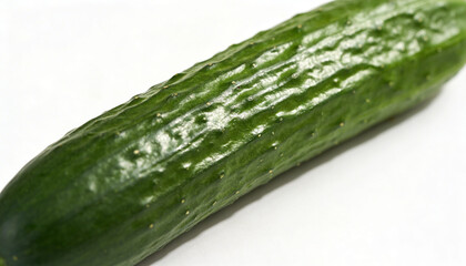 Fresh green cucumber with bumpy skin isolated on white studio background natural healthy ingredient for salad and diet food