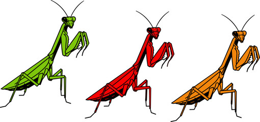 praying mantis insect collection, colorful mantis vector illustration, predator bug character set, isolated nature clipart bundle © Tohidul