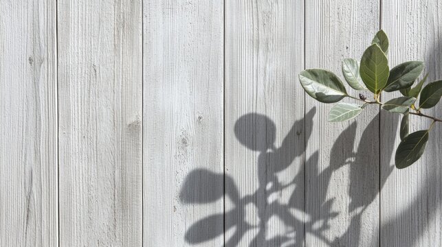 A textured background of a sunlit wooden fence with a faint shadow of a plant,