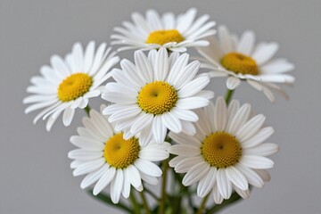 A bunch of white daisies in a vase on a table © Ease Enjoy