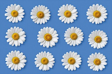 A bunch of white daisies on a blue background_1 © Ease Enjoy