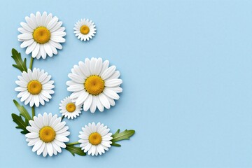 A blue background with white daisies on it © Ease Enjoy