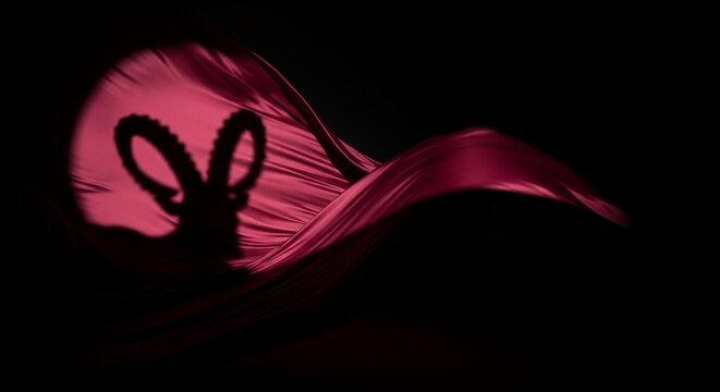 Shadow of ram horns cast on dark red satin fabric. Abstract artistic background with flowing silk texture. Symbolic representation of astrology, zodiac sign and mystery concept.
