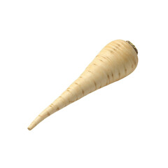 Parsnip Root Vegetable with Tapered Shape and Textured Skin