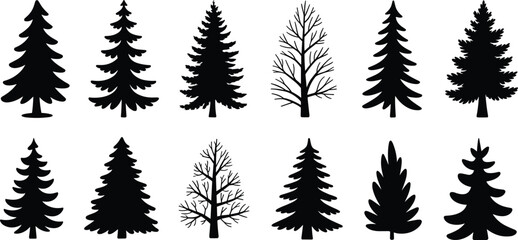 WebTree silhouette collection, coniferous pine fir spruce, deciduous leafless forms, diverse woodland shapes, natural forest landscape, eco design, flat vector illustration © Hello World