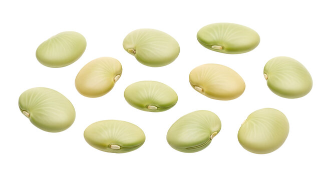 Lima Beans PNG Isolated on Transparent Background