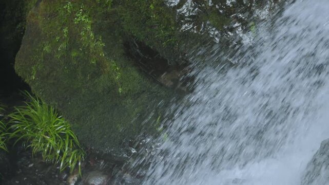 日本の渓谷の滝の水飛沫と苔むした岩の表情