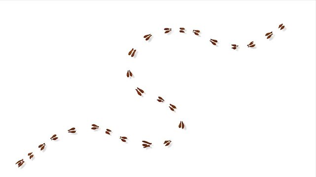 Tiny Ant Footprints Trail Forming a Winding Path on a Clean White Background Subtle Shadow Effect