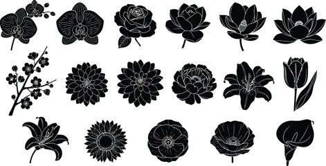 Black and white floral silhouettes on white background flowers 1 © hr graphics