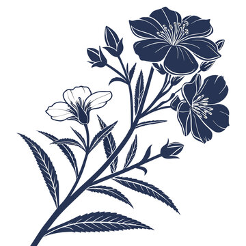 cistus silhouette on white background