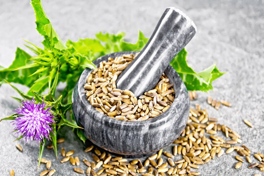 Seeds milk thistle in mortar on stone table