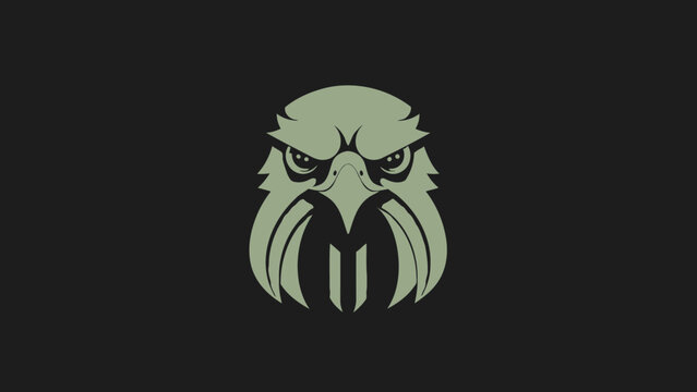 Stylized Eagle Head Emblem with Intense Gaze.