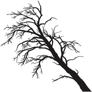Vector silhouette of a tall dead tree with sparse branches, perfect for minimalist designs, halloween, or horror projects