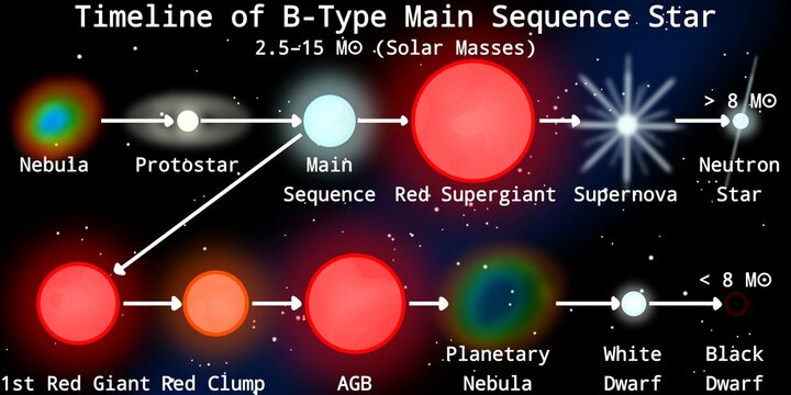 Stellar Evolution of B-Type Main Sequence Star Infographic (Blue-White Main Sequence Star) &ndash; Stellar Evolution Infographic