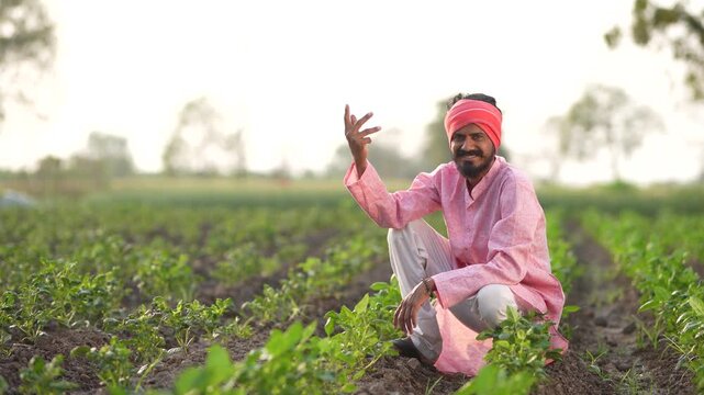 young indian farmer sitting at green peanut field