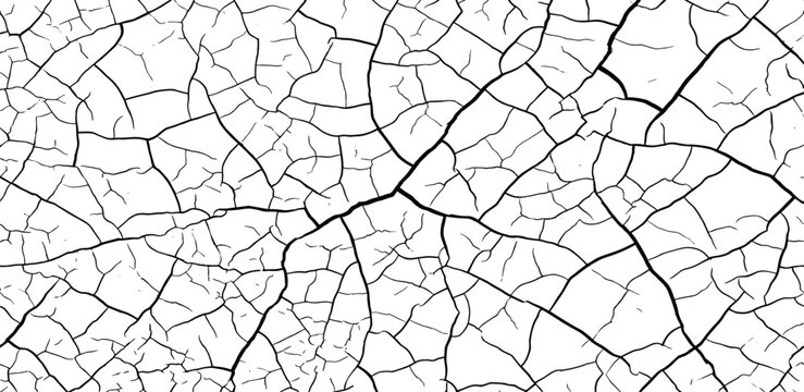 Abstract pattern of cracked surface texture, resembling a dry earth or paint crackle, rendered in stark black and white