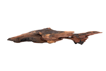 Fototapeta premium Dry tree roots