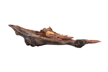 Fototapeta premium Dry tree roots