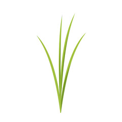 Obraz premium Stylized green grass clump with pointed tips and flat design isolated on white background