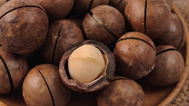 Macadamia nuts both in-shell and shelled
