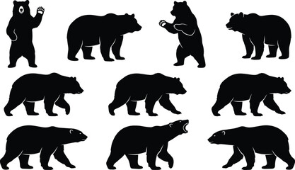 Fototapeta premium Collection of bear silhouettes in various poses, walking standing roaring bear vector set, wild animal black silhouettes isolated for design