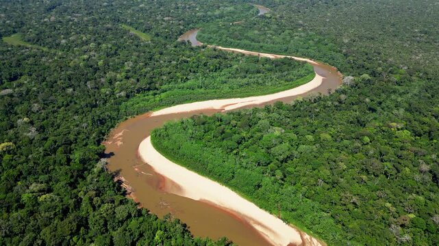 Aerial drone footage of morning mist rising over the Amazon rainforest canopy in Tambopata, Madre de Dios, Peru. Dense tropical jungle landscape covered in fog at sunrise
