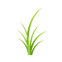 Cartoonish green grass clump rising upwards with black background, clean vector illustration