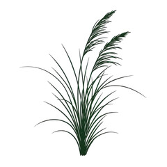 Obraz premium Stylized green plant with multiple thin stems and feathery tops against a stark black background