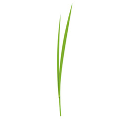 Fototapeta premium Isolated illustration of a slim, verdant blade of grass against a pure black background