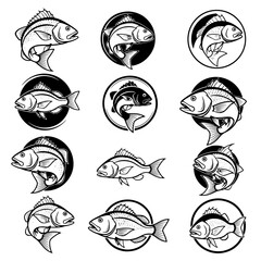 Obraz premium collection of red snapper logo icons, black and white, vector illustration, white background