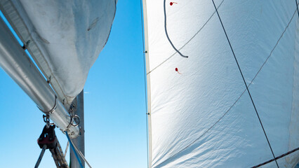white sails sailing boat close up