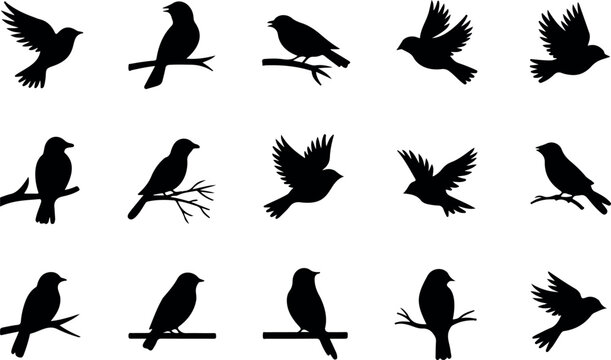 Black solid bird icon set showing birds in flying perched and resting poses for wildlife nature and animal vector illustration