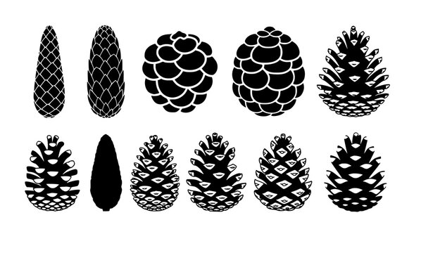 Pine cone silhouette collection nature forest botanical icon set vector illustration