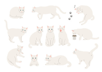 Illustration of a white cat in various poses
