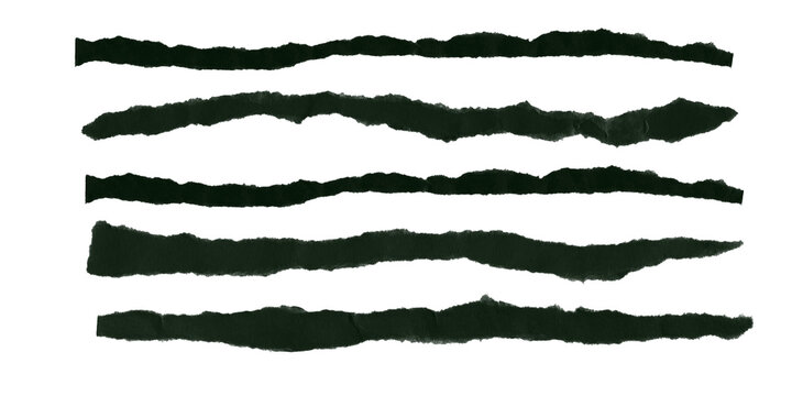 Set of five torn dark green paper strips with ragged edges on black background