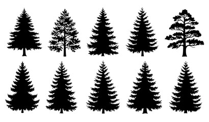 Obraz premium Vintage fir and pine tree silhouettes vector set conifer forest nature collection isolated on white background