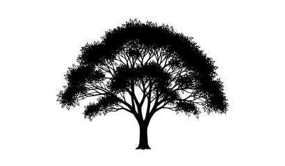 Tree silhouette vector natural forest plant isolated on white background © abdul
