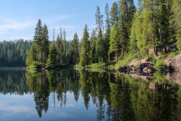 Obraz premium Serene Forest Lake with Perfect Reflections of Tall Evergreen Trees Under a Blue Sky nature
