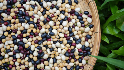 Close up Pile of five mixed beans. (soybean, azuki bean, mung bean, white kidney bean, black bean)