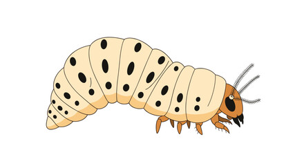 Fototapeta premium Detailed illustration of a large cream-colored caterpillar with black spots and a brown head section on white background.