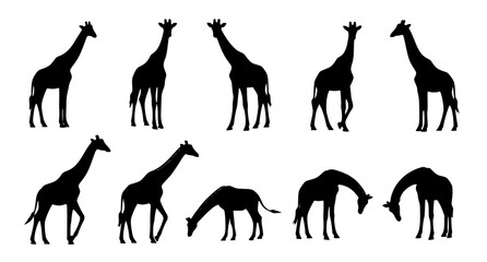 Fototapeta na wymiar Giraffe silhouette icon set wildlife animal vector illustration EPS 10