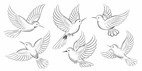 Fototapeta premium Sketch of hummingbirds in flight showcasing various wing positions