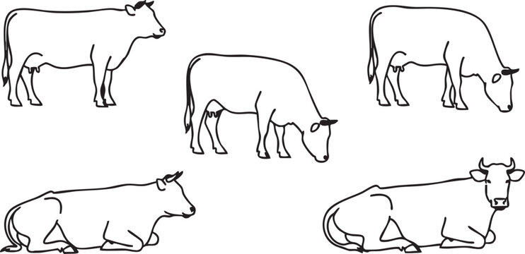 Black and white line of cows in various poses line black and white silhouettes animals farm animals