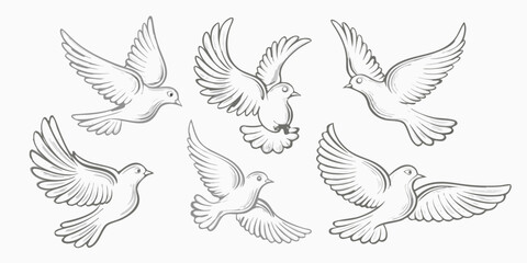 Obraz premium A collection of sketched doves in various flight poses
