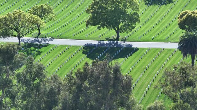 High Angle View of Headstone Rows at National Cemetery