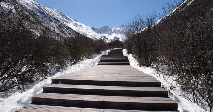 Ascending long staircase at wooden path through stunning snow covered mountain valley in Huanglong Scenic Area, with bare winter bushes lining path. Clear blue sky on sunny day, nobody visible ahead